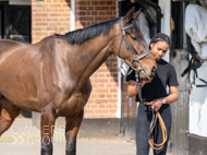 NH220326-15 - Thewoodcorner